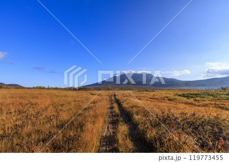 秋の尾瀬 草紅葉と森の紅葉 竜宮〜見晴 秋の尾瀬 草紅葉と森の紅葉 竜宮〜見晴 119773455