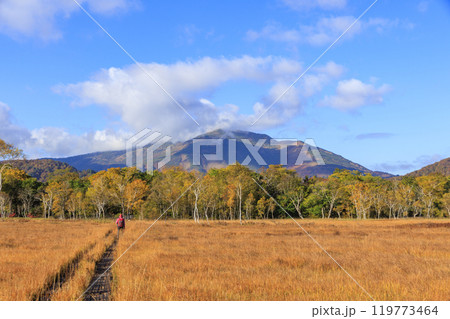 秋の尾瀬　草紅葉と森の紅葉　竜宮〜見晴 119773464