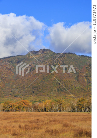 秋の尾瀬　草紅葉と森の紅葉　竜宮〜見晴 119773473