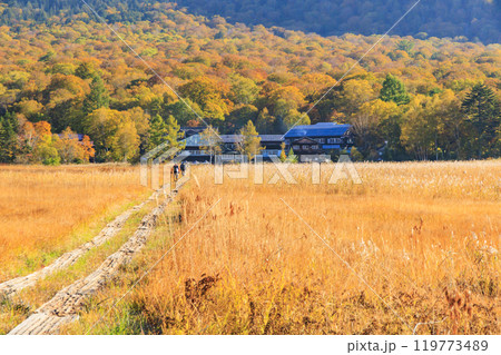 秋の尾瀬 草紅葉と森の紅葉 竜宮〜見晴 秋の尾瀬 草紅葉と森の紅葉 竜宮〜見晴 119773489