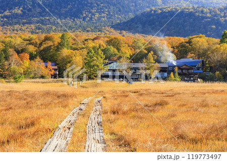 秋の尾瀬　草紅葉と森の紅葉　竜宮〜見晴 119773497