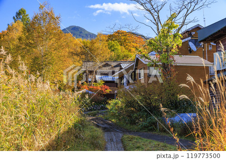秋の尾瀬　草紅葉と森の紅葉　竜宮〜見晴 119773500
