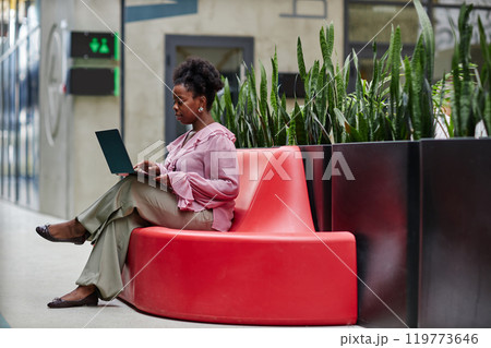 Side view of African American businesswoman using laptop to work sitting on red couch in lounge area featuring green live plants in modern office center, copy space Side view of African American businesswoman using laptop to work sitting on red couch in lounge area featuring green live plants in modern office center, copy space 119773646