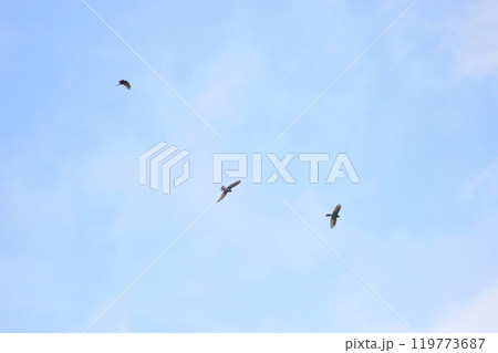 背景 バックグラウンド バックグランド 119773687