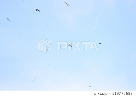 背景 バックグラウンド バックグランド 119773688