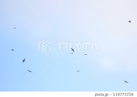 背景 バックグラウンド バックグランド 119773726