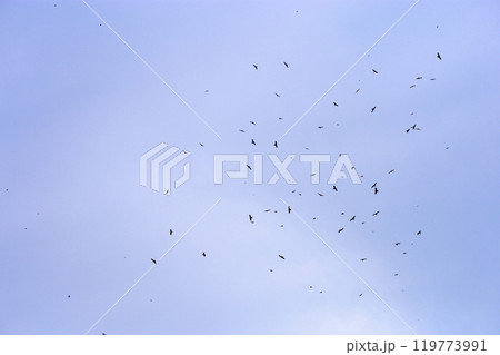 背景 バックグラウンド バックグランド 119773991