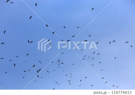 背景 バックグラウンド バックグランド 119774013