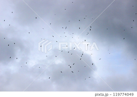 背景 バックグラウンド バックグランド 119774049