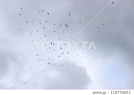 背景 バックグラウンド バックグランド 119774051