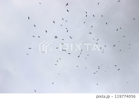 背景 バックグラウンド バックグランド 119774056