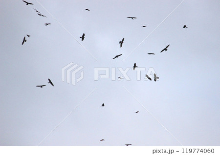 背景 バックグラウンド バックグランド 119774060