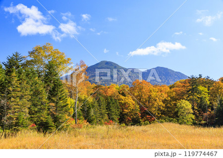 秋の尾瀬 草紅葉と森の紅葉 見晴〜赤田代 秋の尾瀬 草紅葉と森の紅葉 見晴〜赤田代 119774467