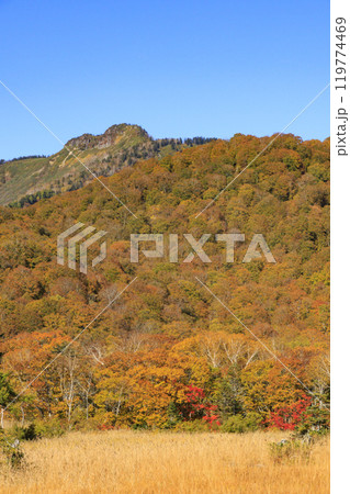 秋の尾瀬　草紅葉と森の紅葉　見晴〜赤田代 119774469