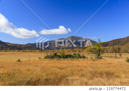 秋の尾瀬　草紅葉と森の紅葉　見晴〜赤田代 119774472