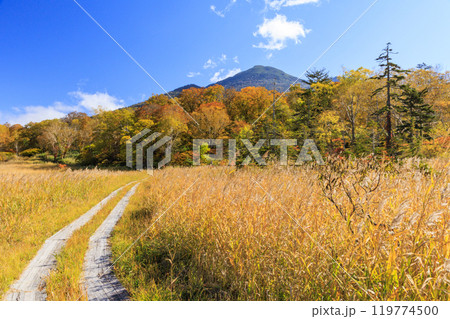 秋の尾瀬 草紅葉と森の紅葉 見晴〜赤田代 秋の尾瀬 草紅葉と森の紅葉 見晴〜赤田代 119774500
