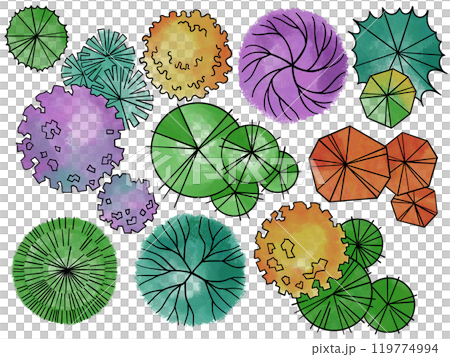 set of colored trees, hand drawing, top view. architectural ink drawing 119774994