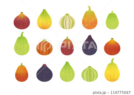 イチジク　セット 119775087