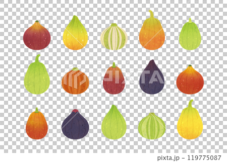 イチジク　セット 119775087