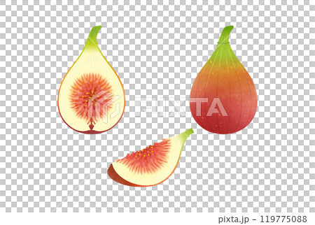 FIG  119775088