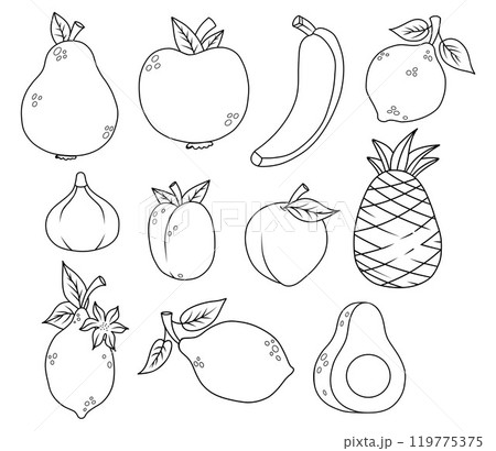 Outline fruit collection. Seasonal tropical citrus Lemon and lime, pineapple, banana, apple and pear, fig, avocado, apricot and plum. Isolated linear drawing, coloring book. Vector illustration 119775375