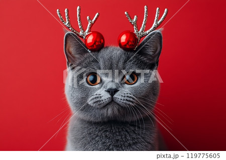A cheerful and festive cat wearing cute reindeer antlers amidst colorful holiday decorations for Christmas 119775605