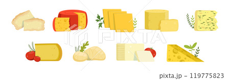 Different Cheese Type as Dairy Product Vector Set 119775823