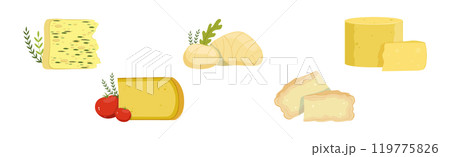 Different Cheese Type as Dairy Product Vector Set 119775826