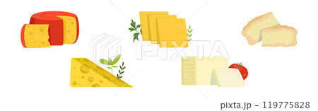 Different Cheese Type as Dairy Product Vector Set 119775828
