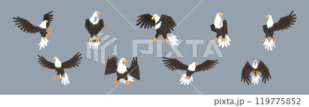 Eagle or Vulture Predatory Bird of Prey Vector Set 119775852