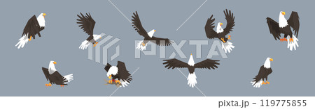 Eagle or Vulture Predatory Bird of Prey Vector Set 119775855