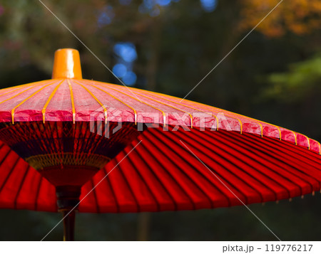 神戸・瑞宝寺公園の赤い和傘 119776217