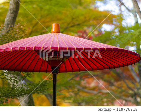 神戸・瑞宝寺公園の赤い和傘と紅葉 Zuihoji Park, Kobe, Japan 119776218