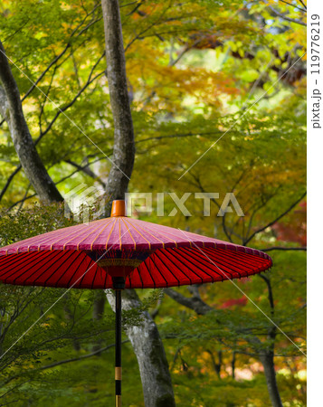 神戸・瑞宝寺公園の赤い和傘と紅葉 Zuihoji Park, Kobe, Japan 119776219