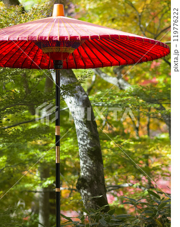 神戸・瑞宝寺公園の赤い和傘と紅葉 Zuihoji Park, Kobe, Japan 神戸・瑞宝寺公園の赤い和傘と紅葉 Zuihoji Park, Kobe, Japan 119776222
