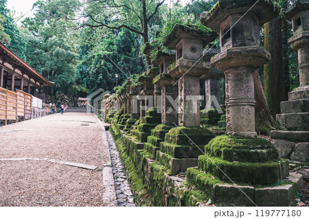 [春日大社]灯籠が建ち並ぶノスタルジックな景観 119777180