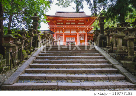 [春日大社]本堂へと続く階段 119777182