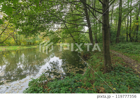 river in the forest river in the forest 119777356
