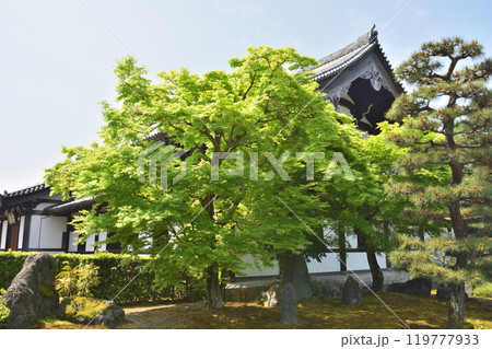 東福寺の禅堂 東福寺の禅堂 119777933