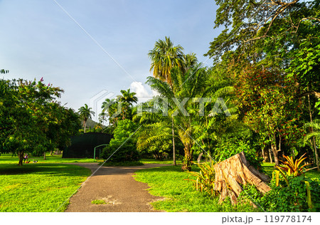 Royal Botanic Gardens in Port of Spain, Trinidad and Tobago: A Lush Oasis of Tropical Flora Royal Botanic Gardens in Port of Spain, Trinidad and Tobago: A Lush Oasis of Tropical Flora 119778174