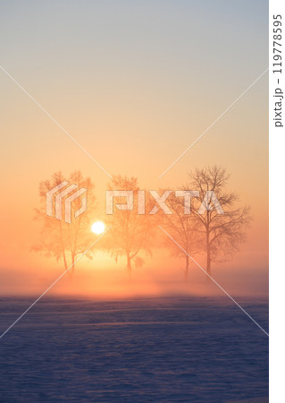 霧氷と朝日 119778595