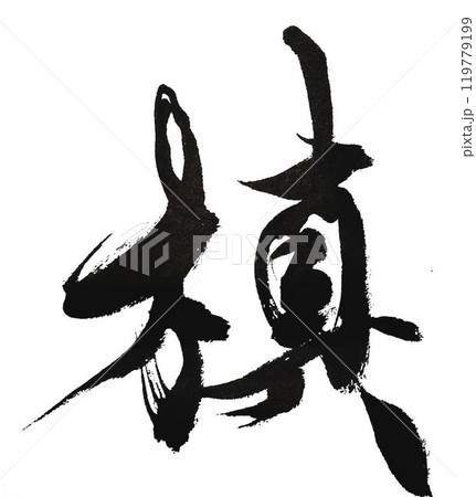 高野槇の文字創作で何種類か書道筆で書きましたのイラスト素材 