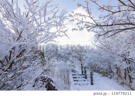 雪山登山(大分県九重町) 雪山登山(大分県九重町) 119779211