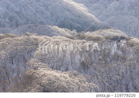 雪山登山(大分県九重町) 雪山登山(大分県九重町) 119779220