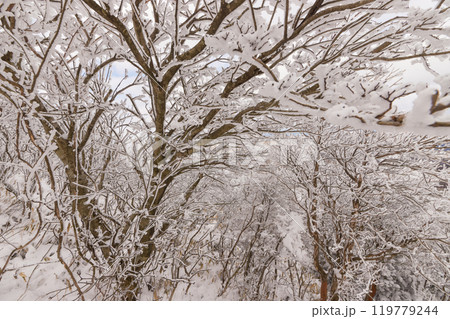 雪山登山(大分県九重町) 雪山登山(大分県九重町) 119779244