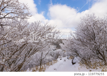雪山登山(大分県九重町) 雪山登山(大分県九重町) 119779255