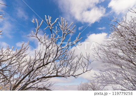 雪山登山(大分県九重町) 雪山登山(大分県九重町) 119779258