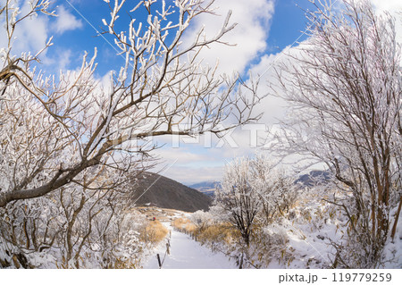 雪山登山(大分県九重町) 雪山登山(大分県九重町) 119779259