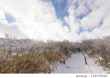 雪山登山（大分県九重町） 119779264