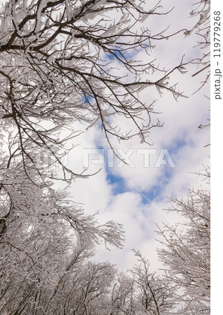 雪山登山(大分県九重町) 雪山登山(大分県九重町) 119779268
